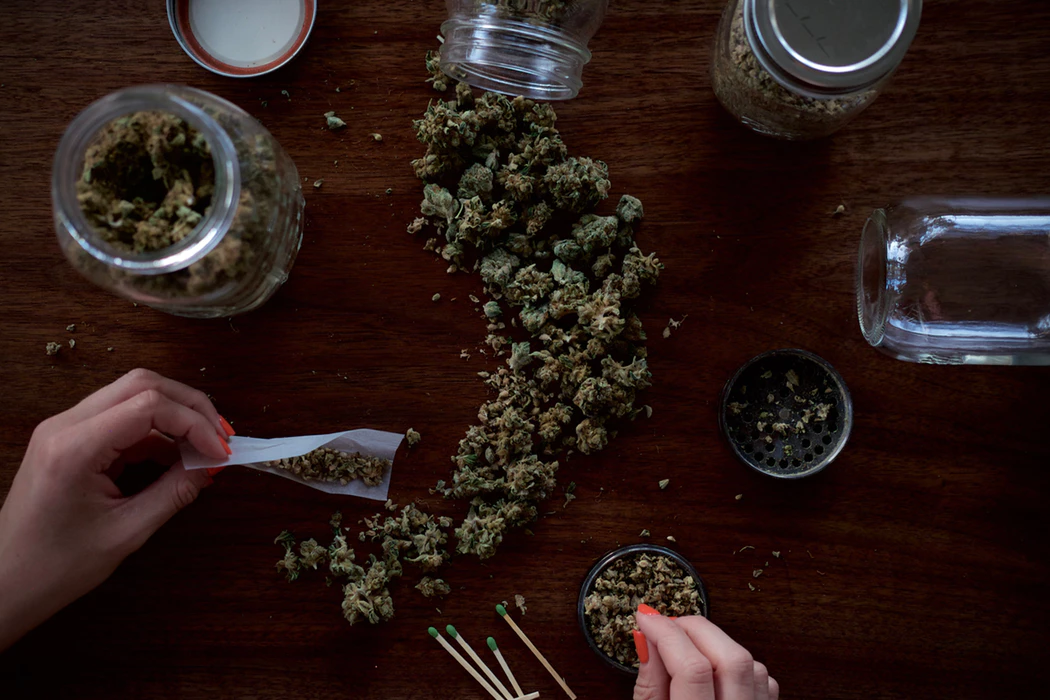 Woman preparing marijuana using weed etiquette